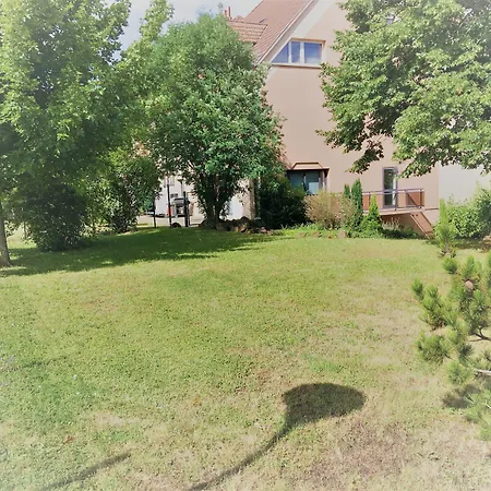 Restaurant Crystal Hotel 3*